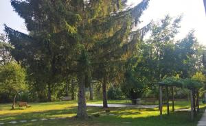 Vonkajšia záhrada v ubytovaní Langhe di Liguria B&B