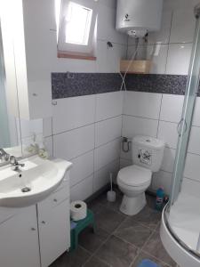 a bathroom with a toilet and a sink at Zbaraz in Jarosławiec
