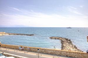 a large body of water with a beach and a boat at Les Remparts Antibes Location in Antibes