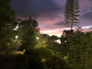 a view of a garden at night at Yiyue Guanhe Homestay 倚月觀荷民宿 in Danei