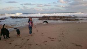 ポート・エドワードにあるBottlenose B&Bの海岸を犬2匹と歩く少女