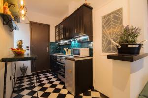 A cozinha ou cozinha compacta de Nissos Kerkyra Loft