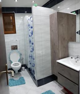 uma casa de banho com um WC e um lavatório em Apartment Emina em Travnik