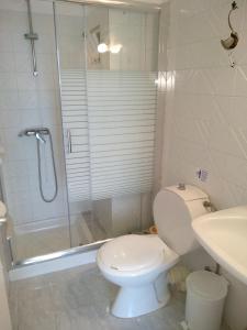 a bathroom with a shower and a toilet and a sink at Leonidas Hotel & Studios in Kos