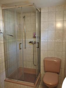 a bathroom with a shower and a toilet at Alter Lärch in Blatten bei Naters