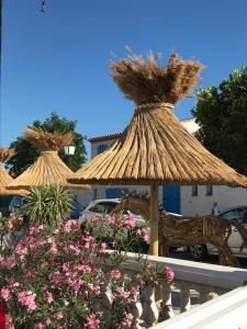 Zahrada ubytování Hôtel Le Neptune en Camargue