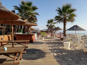 a beach with benches and umbrellas and palm trees at Casa da Vista Rio in Amora