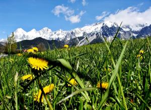 Paesaggio naturale nelle vicinanze del bed & breakfast