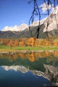 Paesaggio naturale nelle vicinanze del bed & breakfast