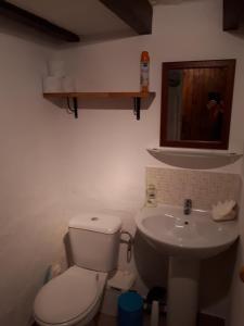 a bathroom with a toilet and a sink at Gite de Lac Tranquille in Plaud