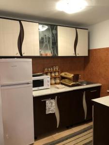 a kitchen with a white refrigerator and a microwave at Casa Livada cu Meri in Vişeu de Jos +9 photos