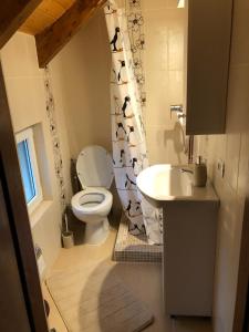 a small bathroom with a toilet and a sink at Casa Livada cu Meri in Vişeu de Jos