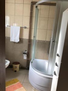 a bathroom with a shower and a toilet at Casa Livada cu Meri in Vişeu de Jos