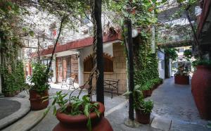 a courtyard with a bunch of potted plants at Hotel Xbalamqué Boutique & Spa in Cancún