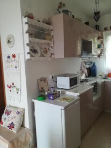 a kitchen with a microwave on top of a counter at Alexia's house in Chortáta