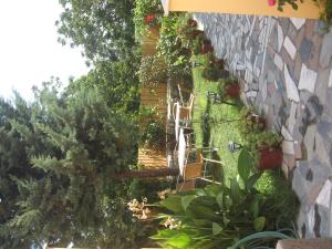 Gallery image of Stella Apartments in Petra +75 photos