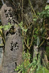 池上鄉的住宿－莊稼熟了民宿，相簿中的一張相片