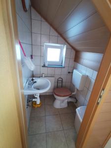 uma pequena casa de banho com WC e lavatório em Pohorje em Spodnje Hoče
