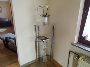 a glass shelf with a plant and a book at Mosel Ferienwohnung in Ürzig