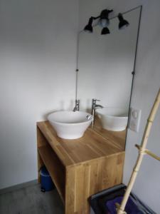 a bathroom with a sink and a mirror at La Garitinne in Onjon