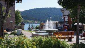 Afbeelding uit fotogalerij van Waldblick in Schluchsee