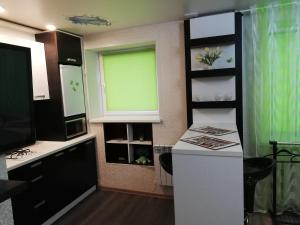 a kitchen with a green window and a refrigerator at Apartaments in Borisov in Borisov