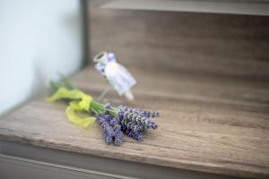 Fotografie z fotogalerie ubytování Apartments Vila DK v destinaci Malinska