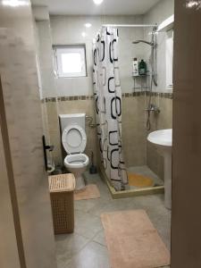 Koupelna v ubytování Apartments Radulović