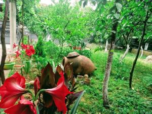 Fotografie z fotogalerie ubytování Guest House Ukimerioni v destinaci Kutaisi + 36 fotografií