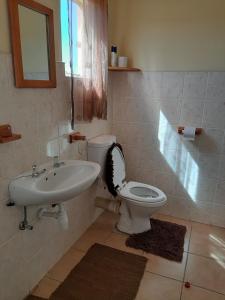 a bathroom with a toilet and a sink with a mirror at Tismaree Guestfarm in Rietoog