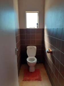 a small bathroom with a toilet and a window at Tismaree Guestfarm in Rietoog