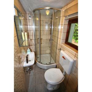 a bathroom with a shower and a toilet and a sink at Počitniška hiša Jeklar in Bohinj +10 photos