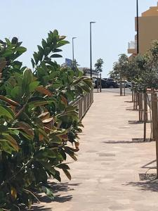 Fotografie z fotogalerie ubytování queen’s paradise v destinaci Callao Salvaje