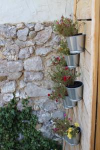 Photo de la galerie de l'établissement domaine de bessilles, à Montagnac 22 autres photos