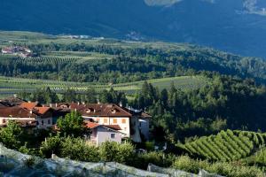 un pueblo en una colina con un viñedo en Agritur La Pieve, en Taio