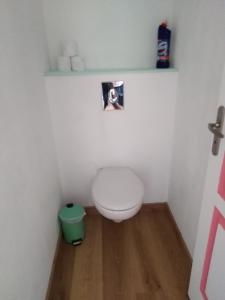 a small bathroom with a toilet and a green trash can at La Garitinne in Onjon +3 photos