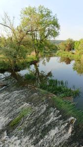 Ảnh trong thư viện ảnh của Pension Moserhaus ở Harburg