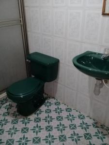baño con aseo verde y lavamanos en Los Tres Leones en Salento