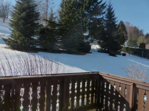 a snow covered yard with trees and a fence at Ferienwohnung Schelhorn in Mengersgereuth-Hämmern +3 photos