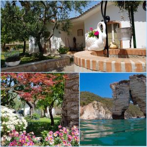 a collage of photos of a house and flowers at B&B ELIANTI in Mattinata