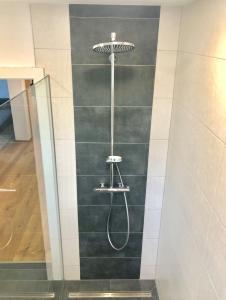 a shower with a shower head on a wall at Feielhof in Krakaudorf