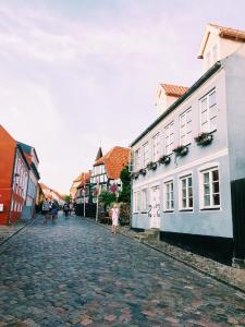 a cobblestone street in a town with buildings at Ebeltoft Midtby in Ebeltoft