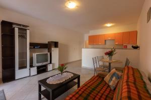ein Wohnzimmer mit einem Sofa und einer Küche in der Unterkunft Apartman Kristo in Vir