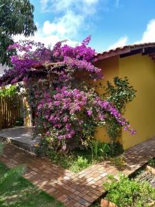 Una casa con flores púrpuras a un lado. en Pousada Pomar dos Campos en Vale do Capao
