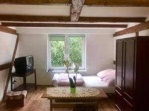 a living room with a couch and a window at Pokoje gościnne pod jabłoniami in Darłowo