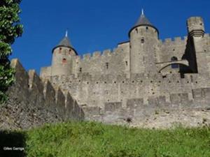 Foto da galeria de La Bulle des familles•jacuzzi•wifi•airport shuttle em Carcassonne