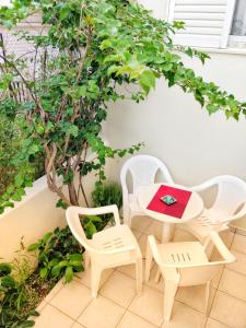 A garden outside Alexandra Hotel