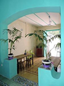 Posezení v ubytování Guaya Hostel
