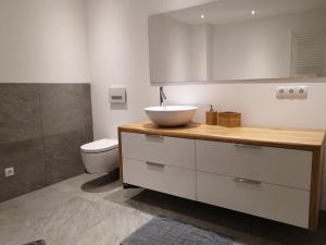 a bathroom with a sink and a toilet at Appartement Klinger in Eben im Pongau