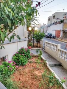 A garden outside Alexandra Hotel